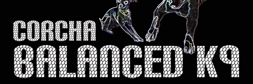 Corcha Balanced K9 banner