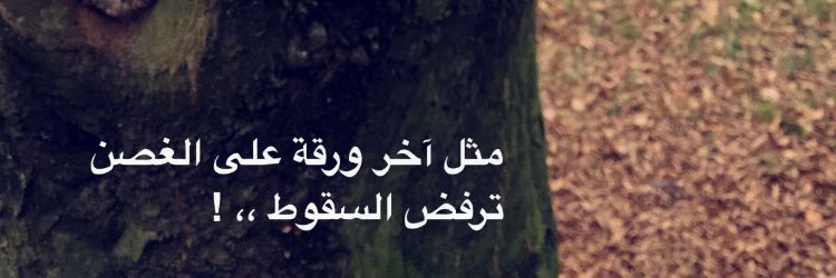 fai9aal_f's profile banner image