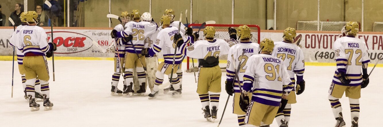 NDPHockey's profile banner image