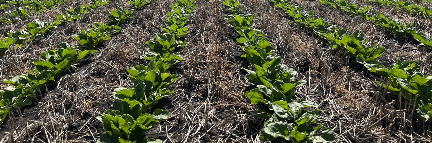 Andrew Johnstad banner