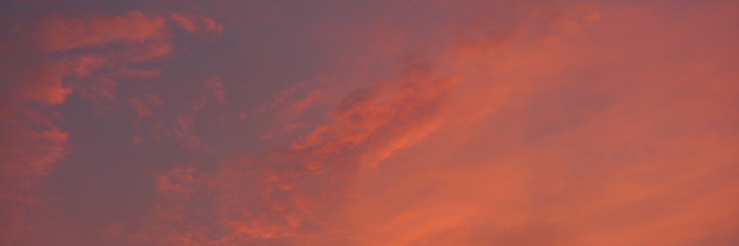 スルメ banner