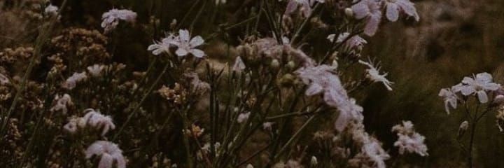 BTeftelka's profile banner image