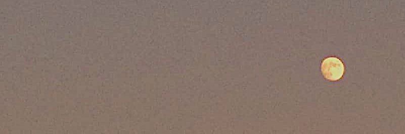 ____sararose's profile banner image