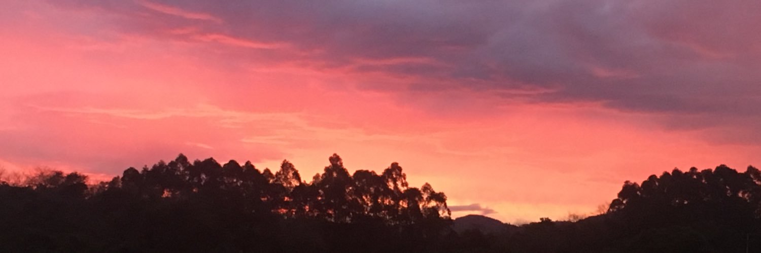 Robert Zwerdling banner