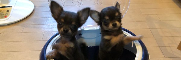 roushi2018 Profile Banner