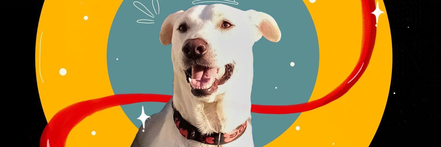 JibajaconJ's profile banner image