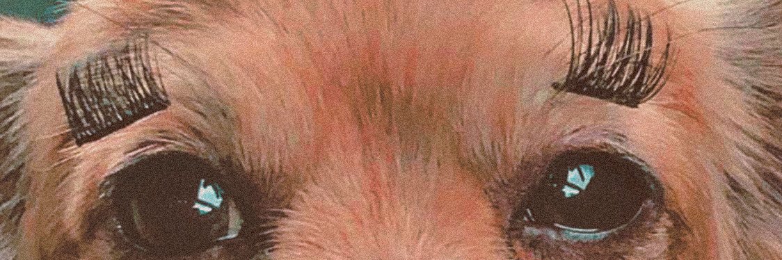 John_Carlos__'s profile banner image