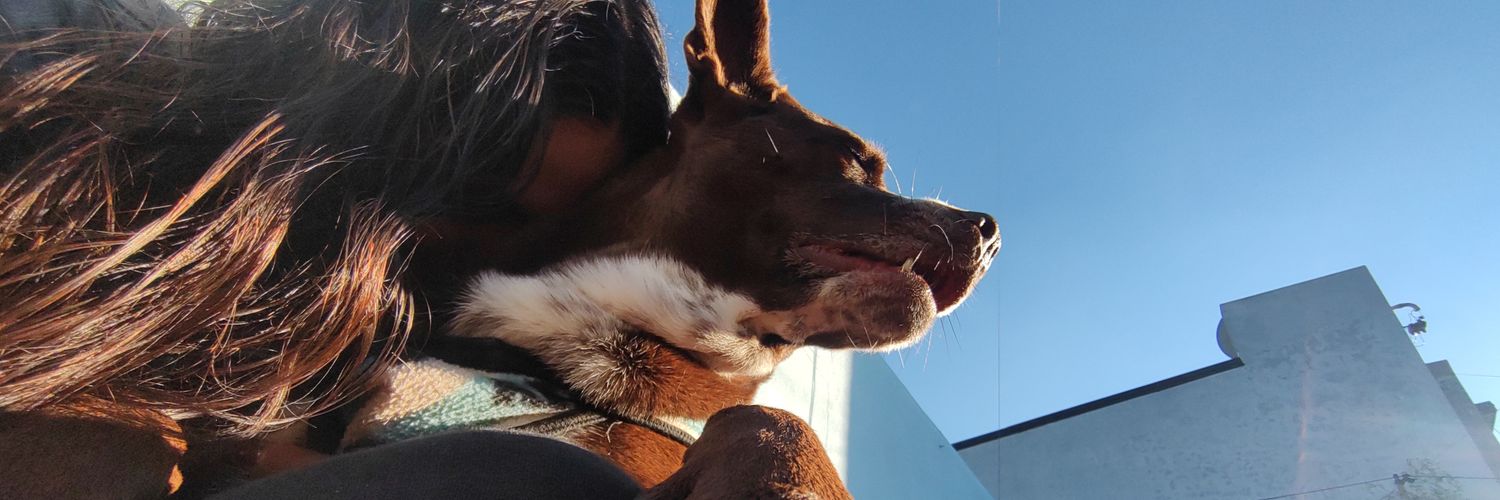 TamyCalderon01's profile banner image