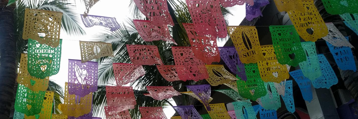 Trisha Comsti banner