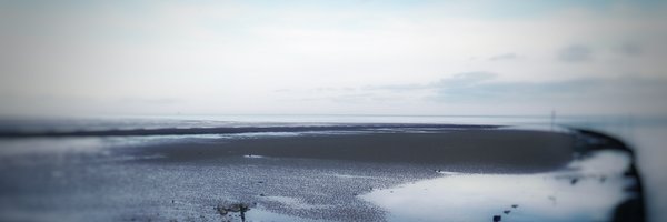 davidrosam Profile Banner