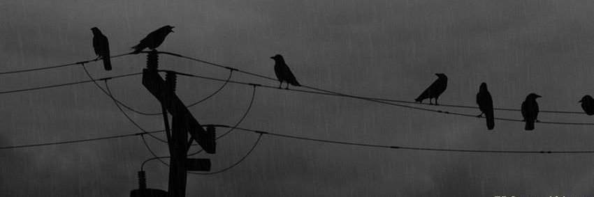 _FasiI's profile banner image