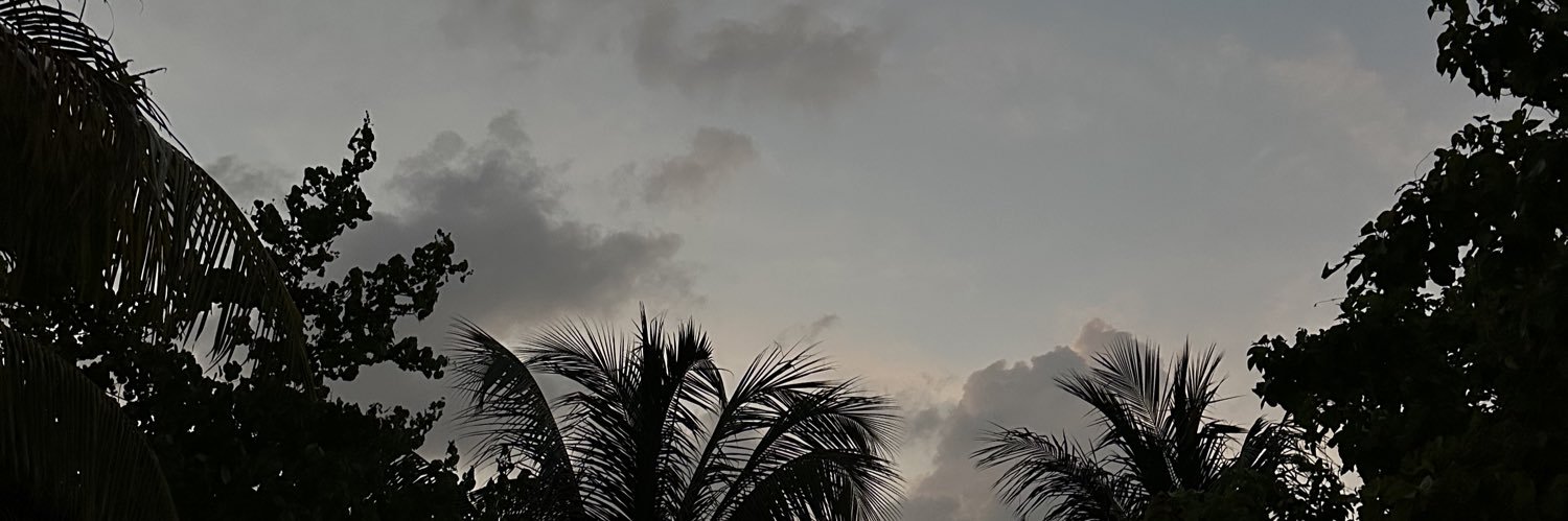 zgraceek's profile banner image