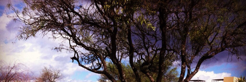 PaoAnah's profile banner image