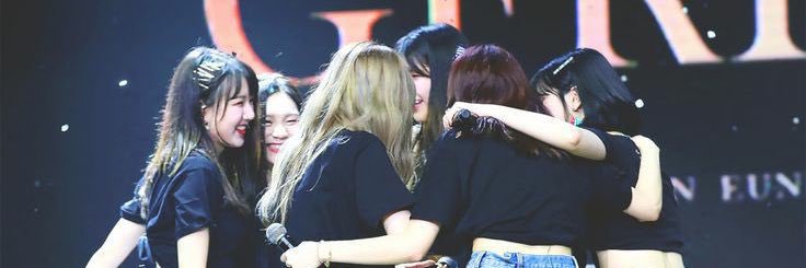 🐱 banner