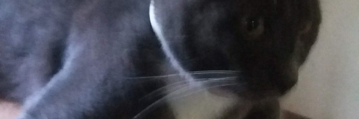 ColleenKenney11's profile banner image
