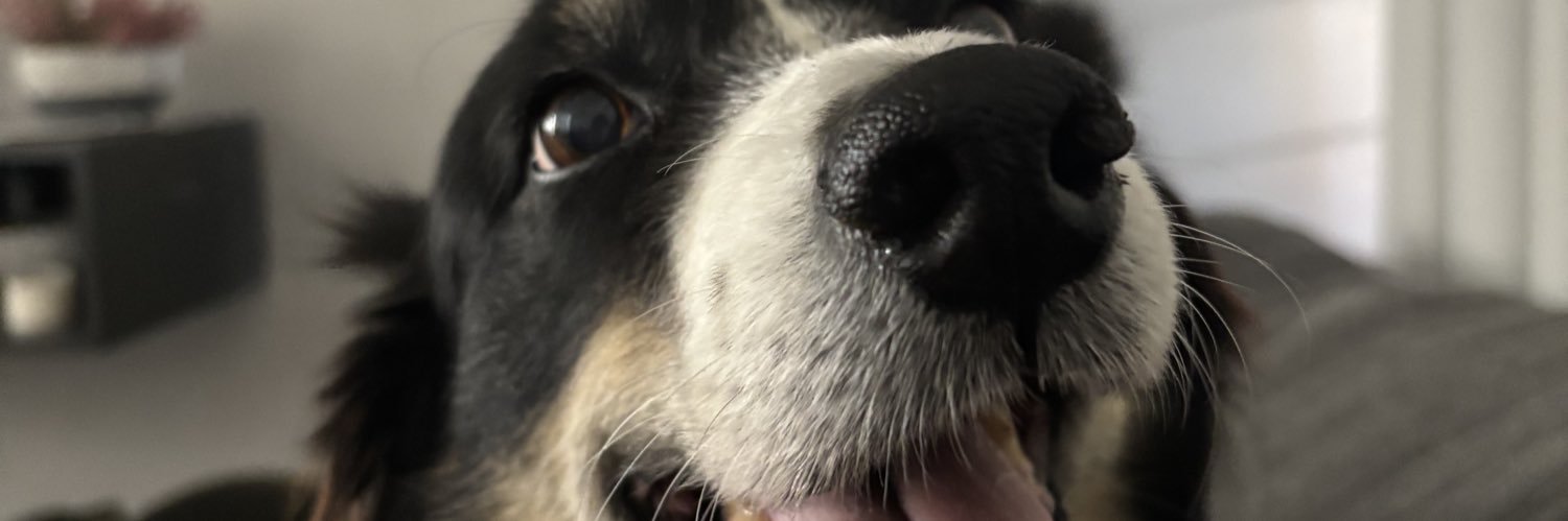 EGael84's profile banner image