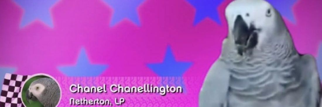 lenobo00's profile banner image