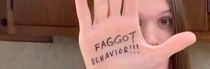 charlie summer 🍉 banner