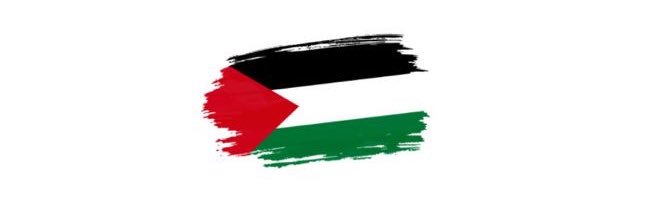 drzldi's profile banner image