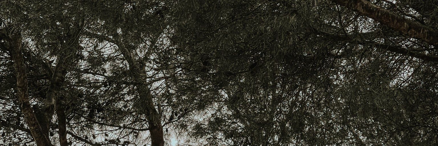 ninawherever's profile banner image