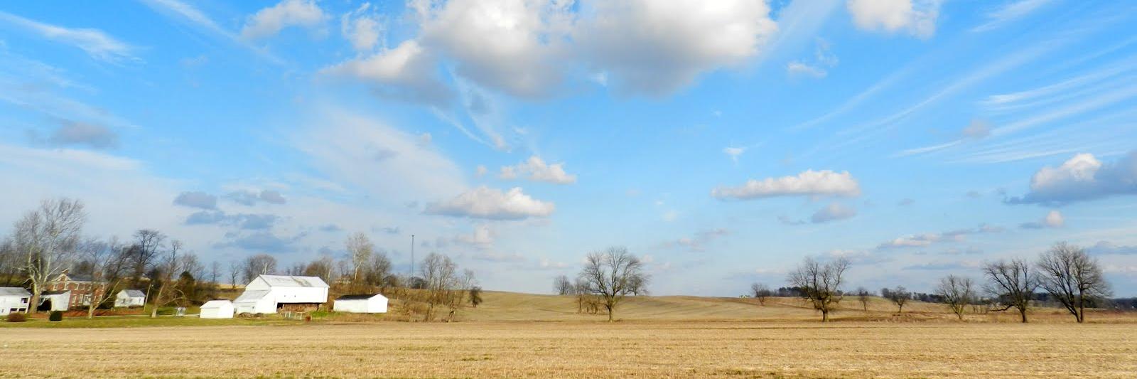 chabechabechabe's profile banner image