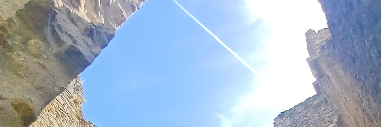 ArmL banner