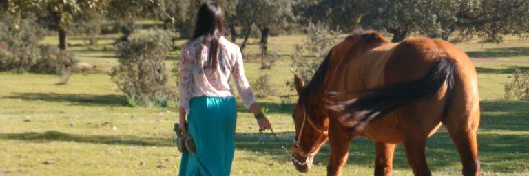 estela_margo's profile banner image