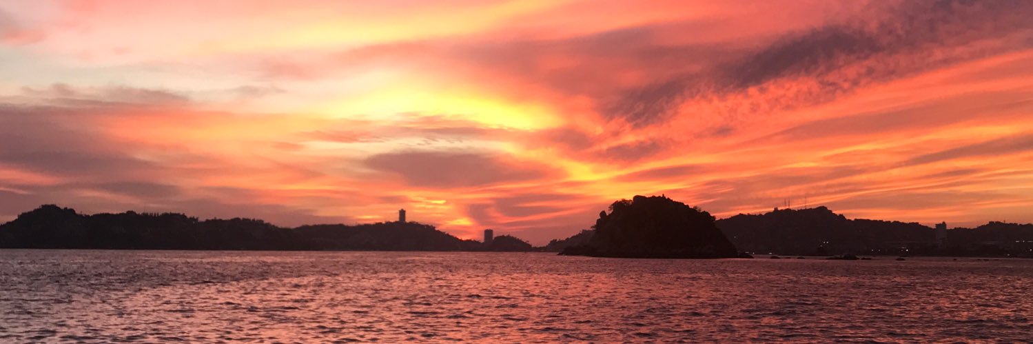 Omar Maldonado S banner