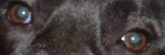 dreaming_quiet's profile banner image