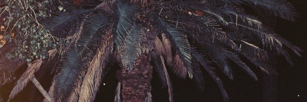 rimls Profile Banner