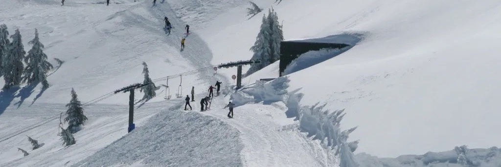 unalpine's profile banner image