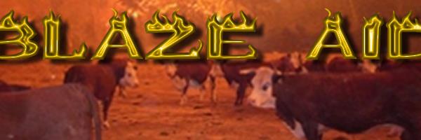 BlazeAid HQ banner