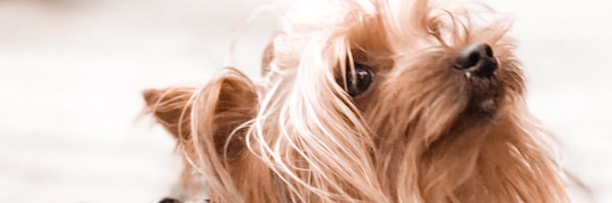 Looor04's profile banner image