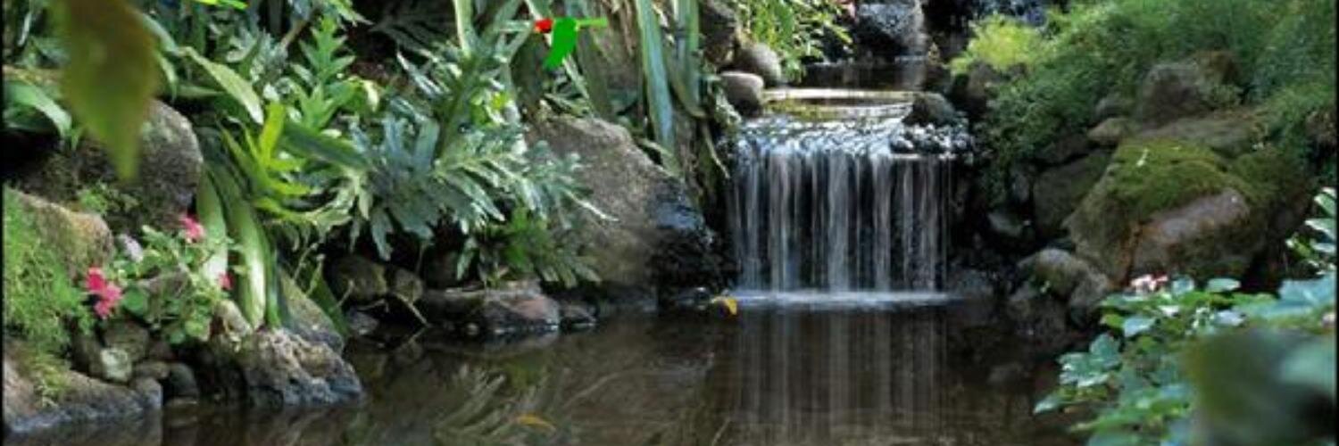 NanciBiddle's profile banner image