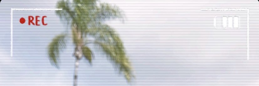 _stefflowers's profile banner image