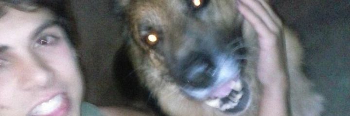 LucaCostoya's profile banner image