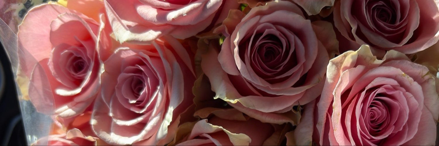 veilofmine's profile banner image