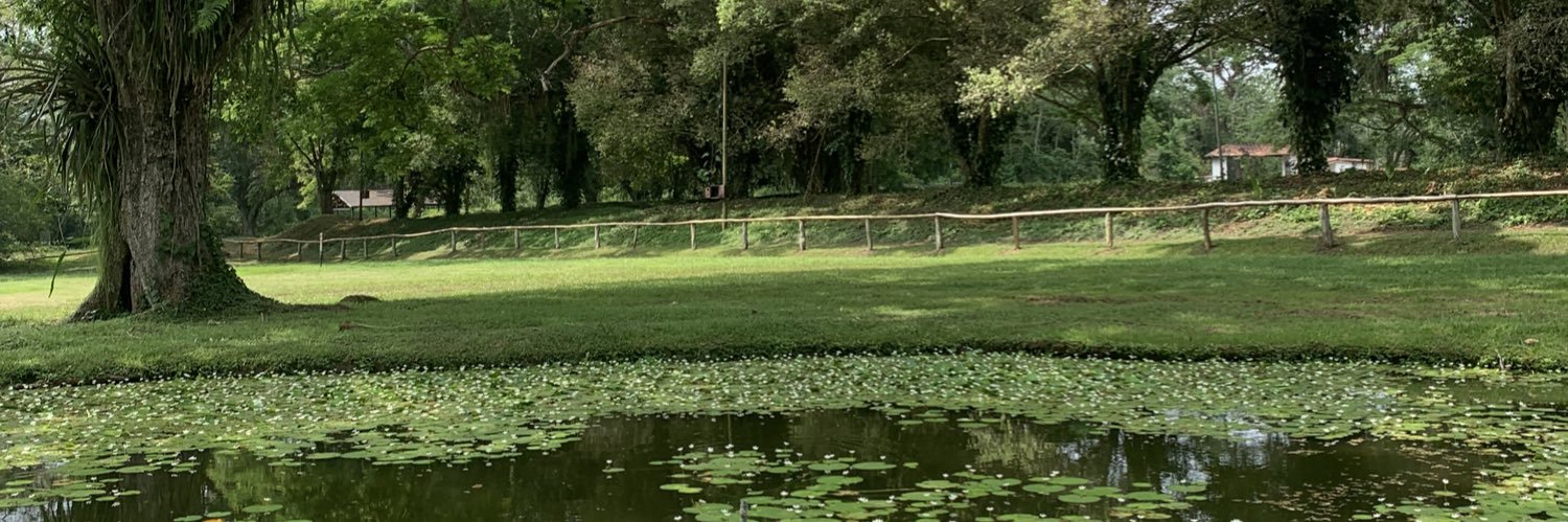 FransayDali's profile banner image