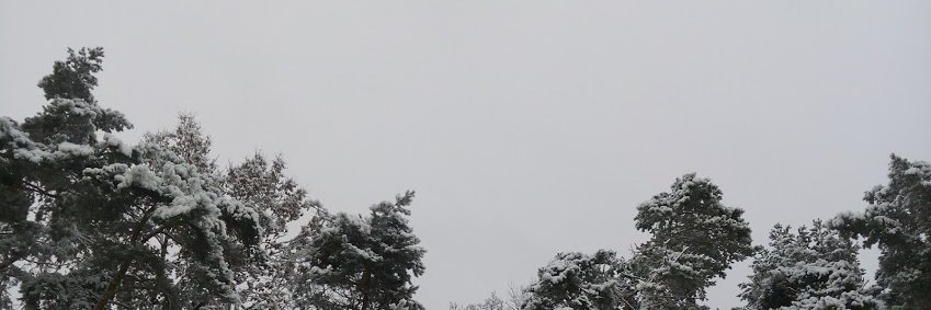 InnaBurban's profile banner image