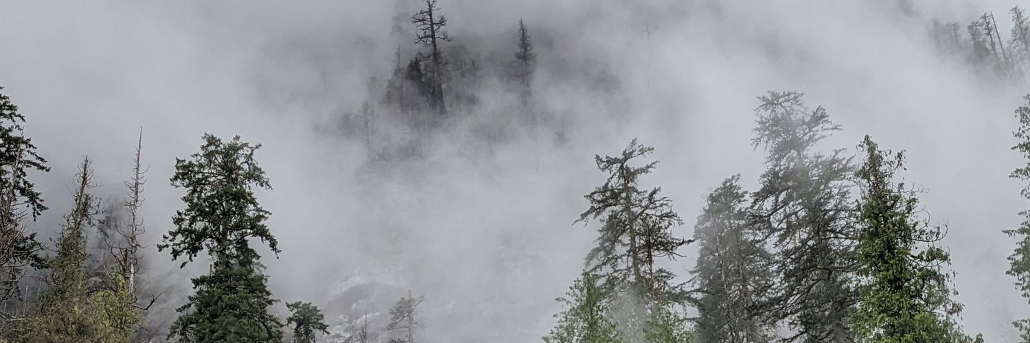 обратное дно banner