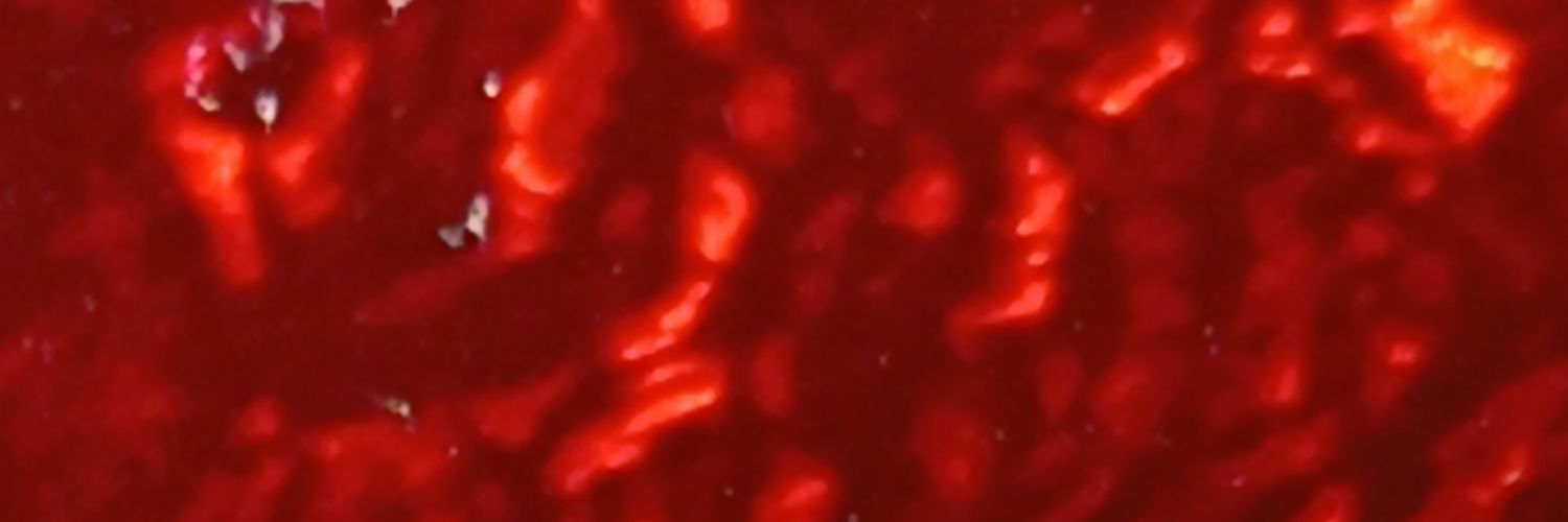 es_Koria's profile banner image