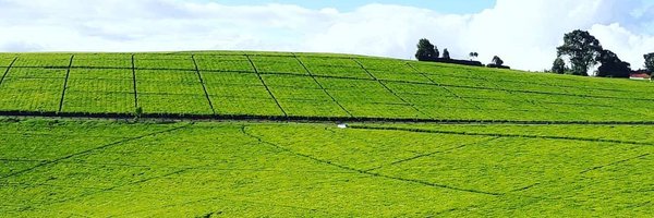 AndereKE Profile Banner