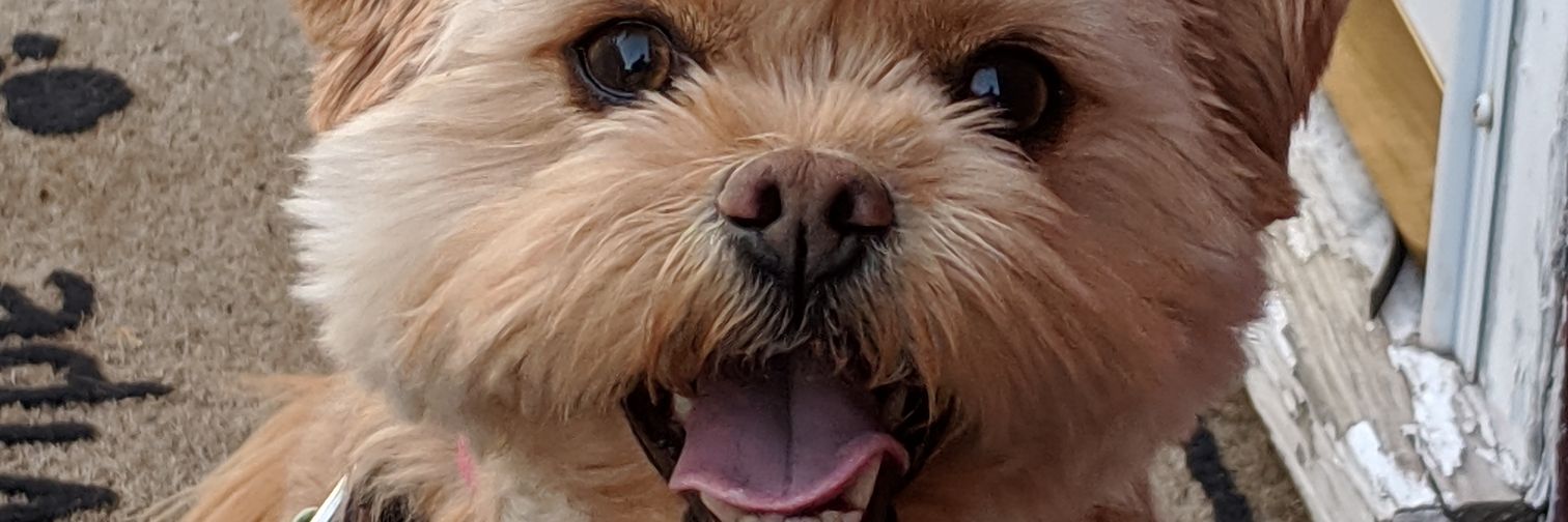 RJronb's profile banner image