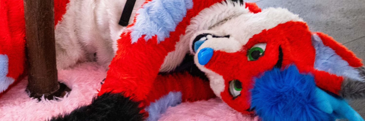 Skify Raspberry 🌟 banner