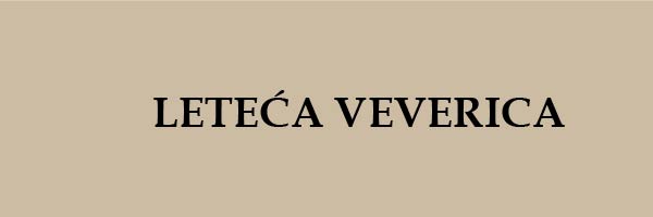 let_vev's profile banner image