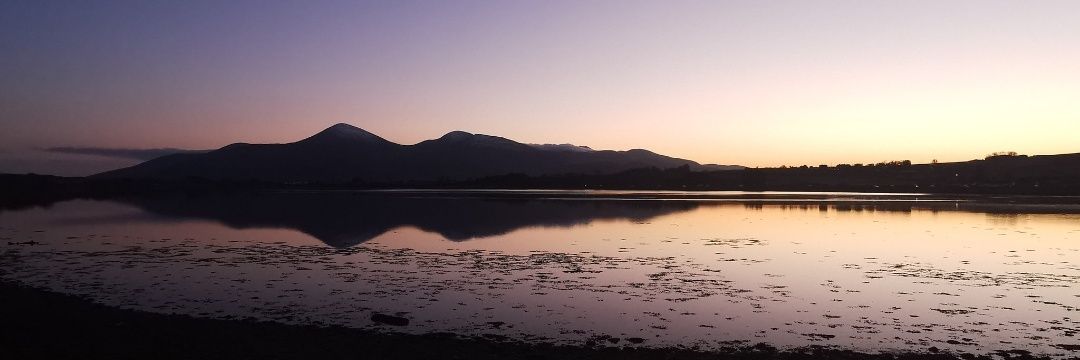 Sheila Murphy banner