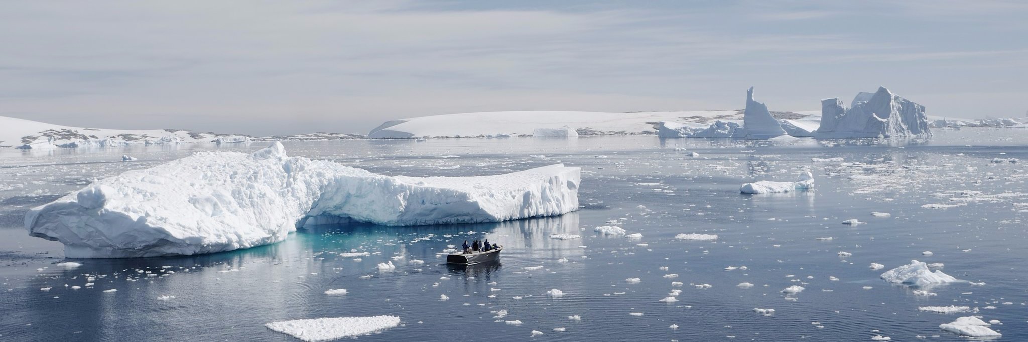 John O'Ceallaigh banner