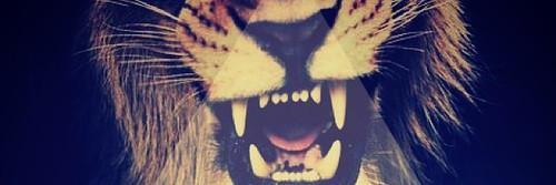 KiddSimba013's profile banner image