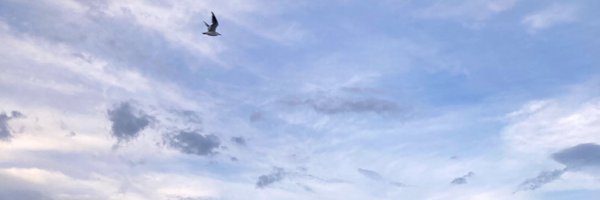 Alison_Coady Profile Banner