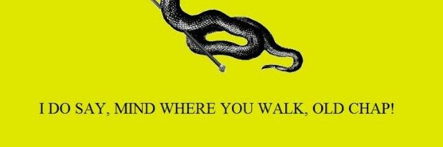 aClassicLiberal's profile banner image